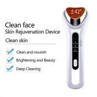 New Ultrasonic Warm Ion Importing Beauty Massager Rejuvenation Device Import Export Face Care Beauty Machine Ionic Face Massager