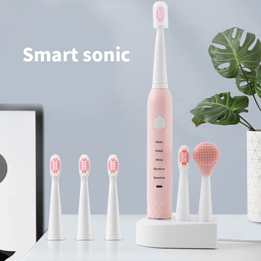PH-201 Sonic Vibration Electric Toothbrushes 
