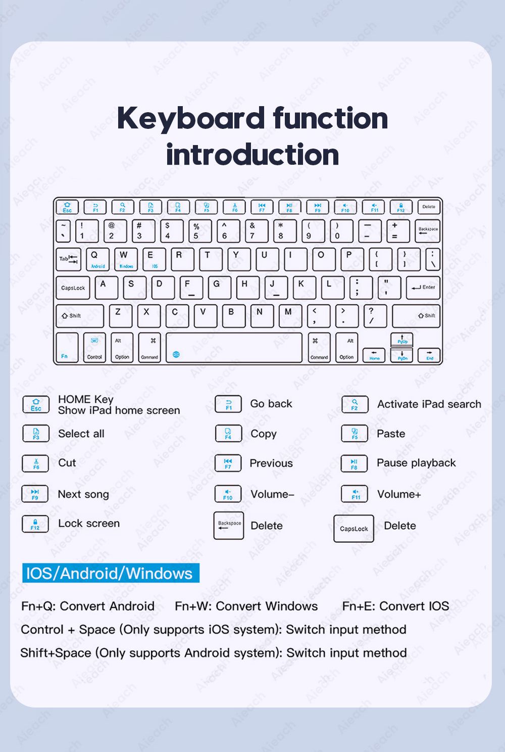 Keyboard and Mouse 