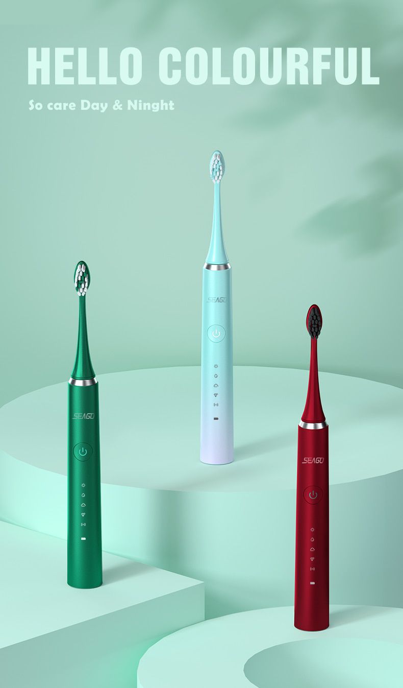 Sonic Electric Toothbrush Rechargeable Electronic Tooth 